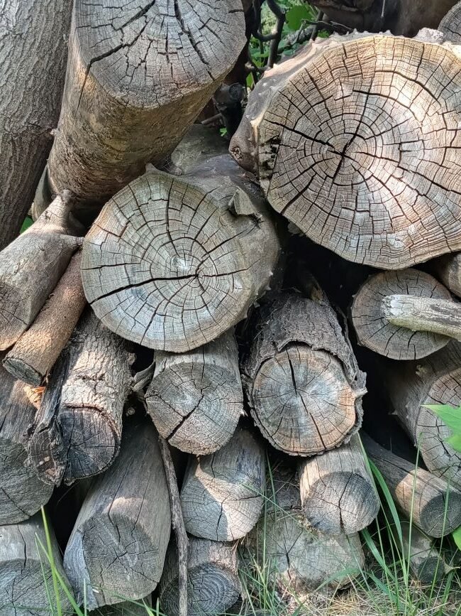 homestead-logs