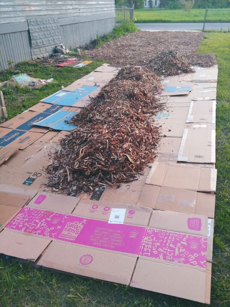 homestead-mulch-and-cardboard